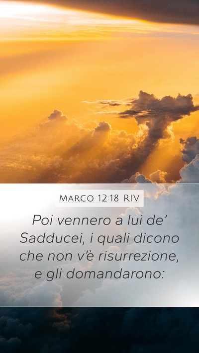 Marco 12:18 RIV Bible Verse Image