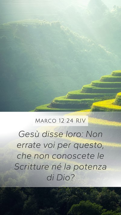 Marco 12:24 RIV Bible Verse Image