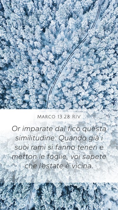 Marco 13:28 RIV Bible Verse Image