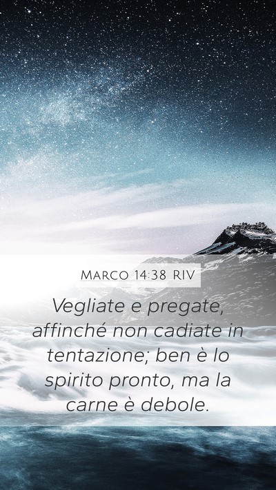 Marco 14:38 RIV Bible Verse Image