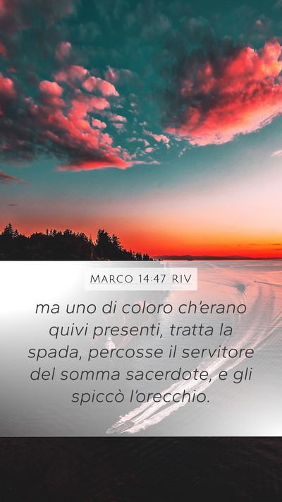 Marco 14:47 RIV Bible Verse Image