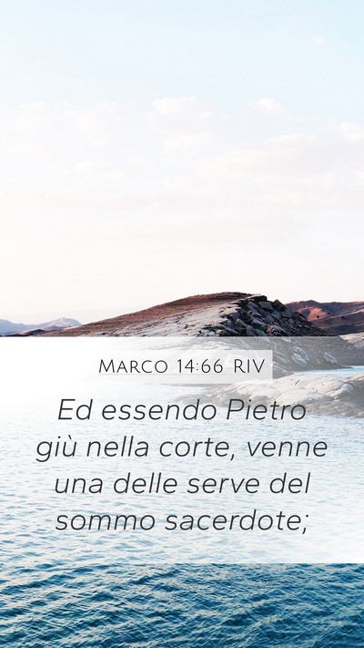 Marco 14:66 RIV Bible Verse Image