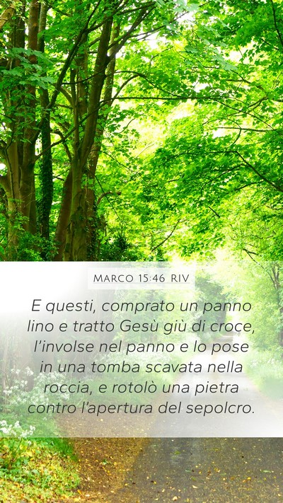Marco 15:46 RIV Bible Verse Image
