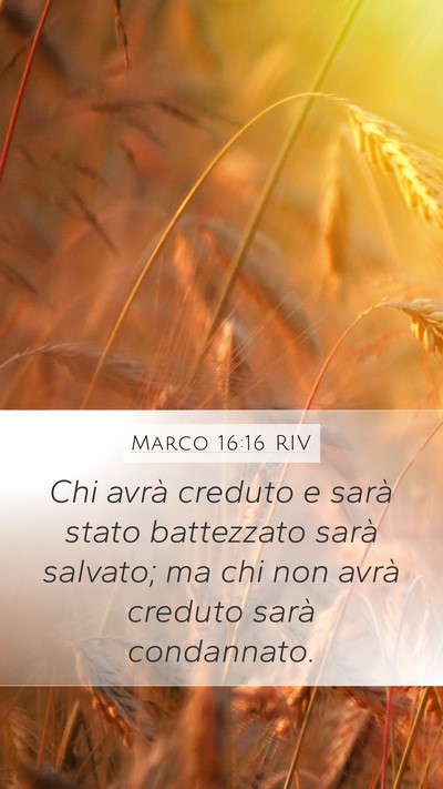 Marco 16:16 RIV Bible Verse Image