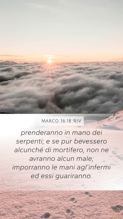 Marco 16:18 RIV Bible Verse Image