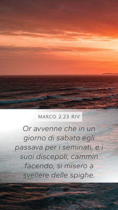 Marco 2:23 RIV Bible Verse Image