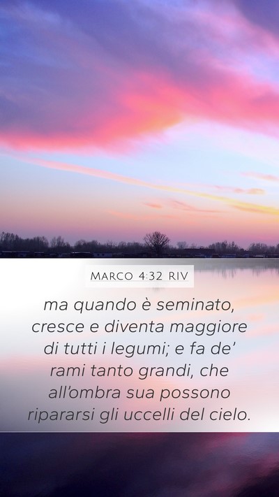 Marco 4:32 RIV Bible Verse Image