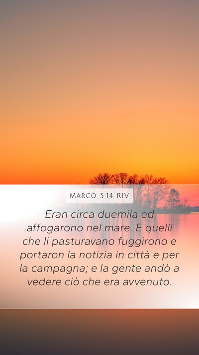 Marco 5:14 RIV Bible Verse Image