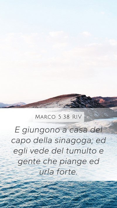 Marco 5:38 RIV Bible Verse Image