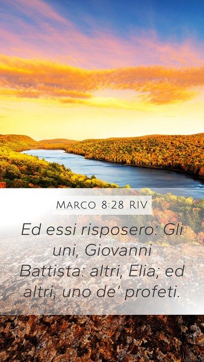 Marco 8:28 RIV Bible Verse Image