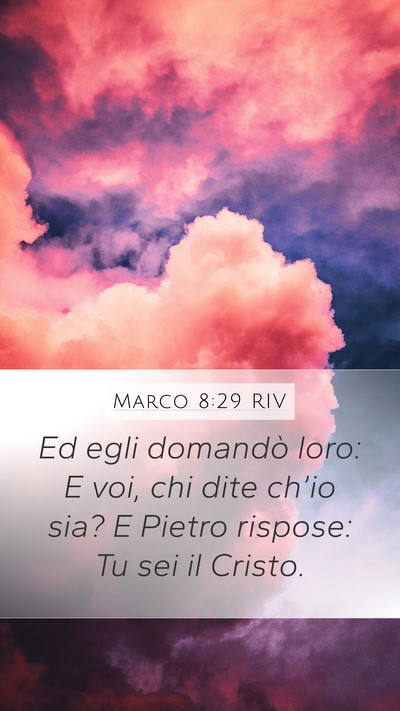 Marco 8:29 RIV Bible Verse Image