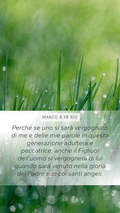 Marco 8:38 RIV Bible Verse Image