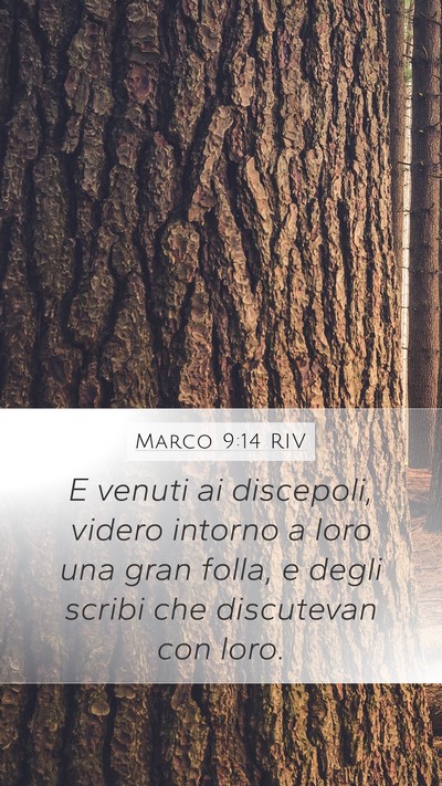 Marco 9:14 RIV Bible Verse Image