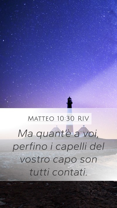 Matteo 10:30 RIV Mobile Phone Wallpaper - Ma quant’è a voi, perfino i capelli del vostro - Mobile Bible Verse Wallpaper