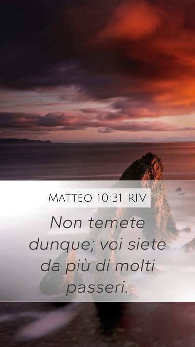 Matteo 10:31 RIV Bible Verse Image