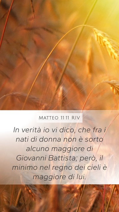 Matteo 11:11 RIV Bible Verse Image