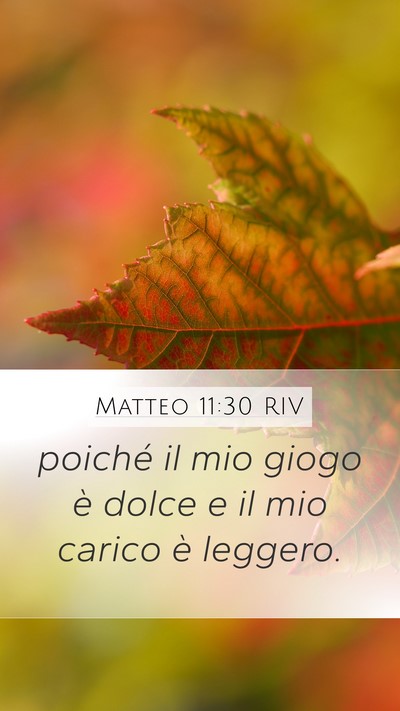 Matteo 11:30 RIV Mobile Phone Wallpaper - poiché il mio giogo è dolce e il mio carico è - Mobile Bible Verse Wallpaper