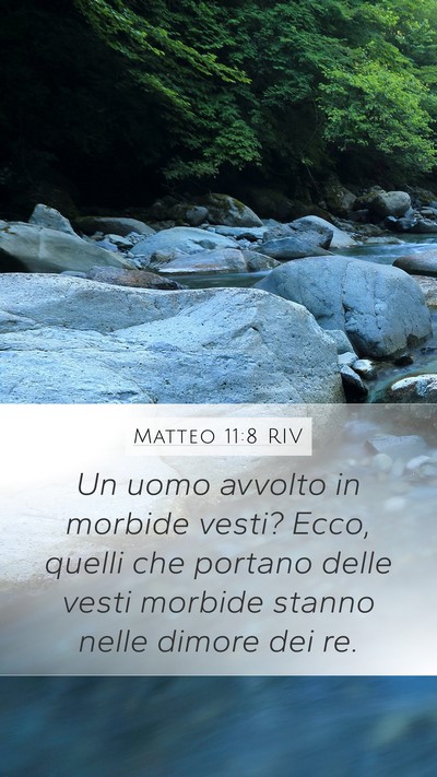 Matteo 11:8 RIV Bible Verse Image
