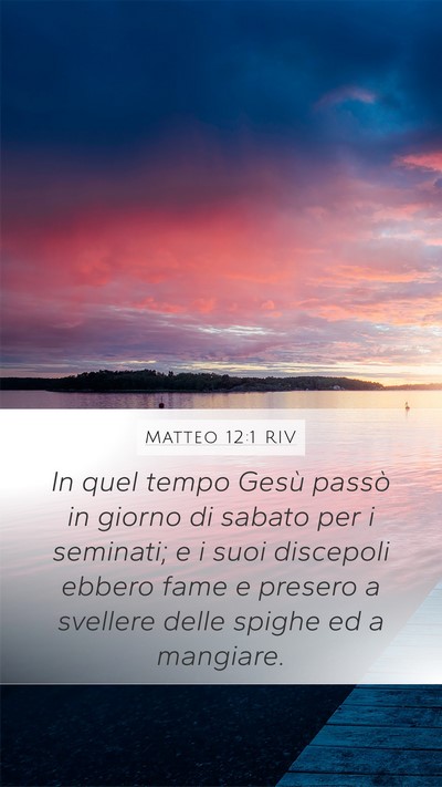 Matteo 12:1 RIV Bible Verse Image