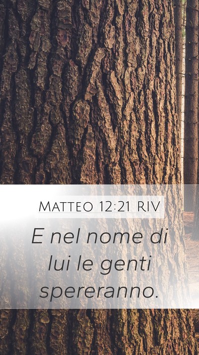 Matteo 12:21 RIV Bible Verse Image