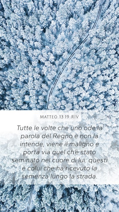 Matteo 13:19 RIV Bible Verse Image