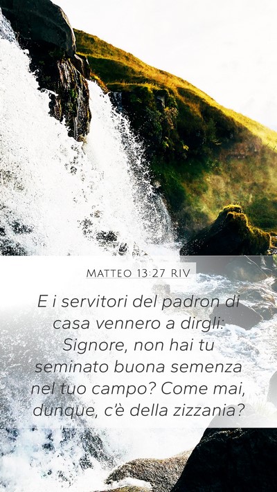 Matteo 13:27 RIV Mobile Phone Wallpaper - E i servitori del padron di casa vennero a - Mobile Bible Verse Wallpaper
