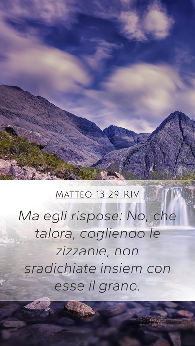 Matteo 13:29 RIV Mobile Phone Wallpaper - Ma egli rispose: No, che talora, cogliendo le - Mobile Bible Verse Wallpaper