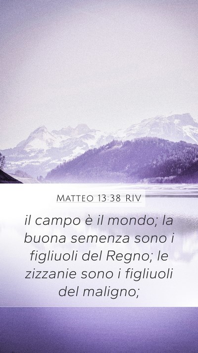 Matteo 13:38 RIV Bible Verse Image