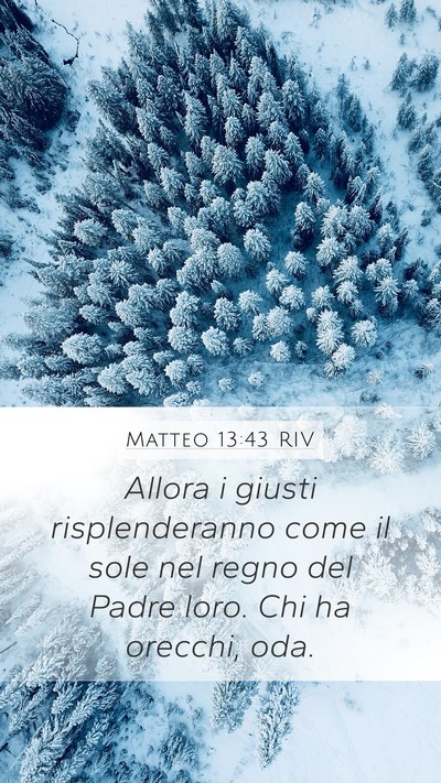 Matteo 13:43 RIV Bible Verse Image