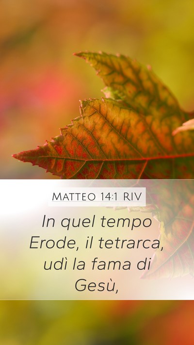 Matteo 14:1 RIV Bible Verse Image