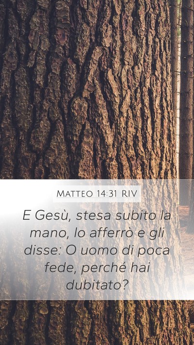 Matteo 14:31 RIV Bible Verse Image