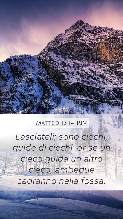 Matteo 15:14 RIV Bible Verse Image