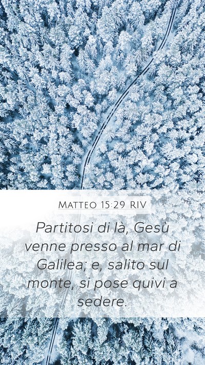 Matteo 15:29 RIV Bible Verse Image