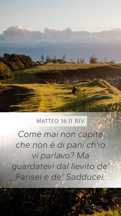 Matteo 16:11 RIV Bible Verse Image