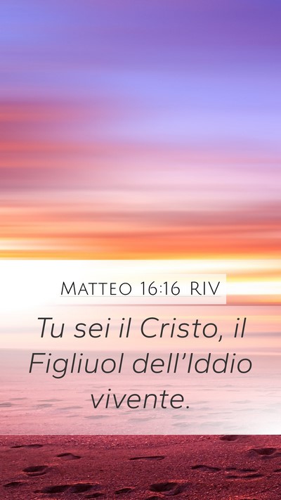 Matteo 16:16 RIV Bible Verse Image