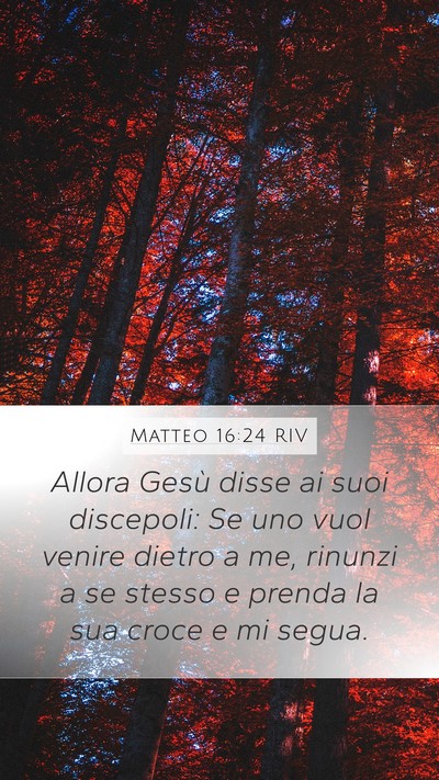 Matteo 16:24 RIV Bible Verse Image