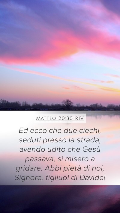 Matteo 20:30 RIV Bible Verse Image