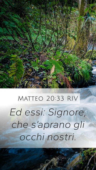 Matteo 20:33 RIV Mobile Phone Wallpaper - Ed essi: Signore, che s’aprano gli occhi - Mobile Bible Verse Wallpaper