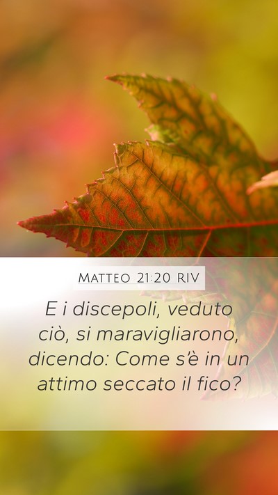 Matteo 21:20 RIV Mobile Phone Wallpaper - E i discepoli, veduto ciò, si maravigliarono, - Mobile Bible Verse Wallpaper