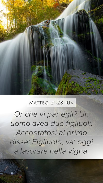 Matteo 21:28 RIV Bible Verse Image