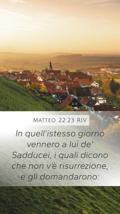 Matteo 22:23 RIV Bible Verse Image