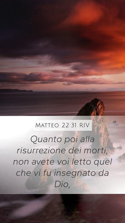 Matteo 22:31 RIV Bible Verse Image