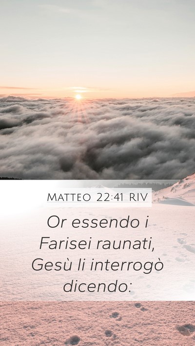 Matteo 22:41 RIV Bible Verse Image