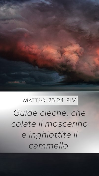 Matteo 23:24 RIV Bible Verse Image
