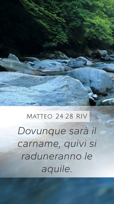 Matteo 24:28 RIV Bible Verse Image