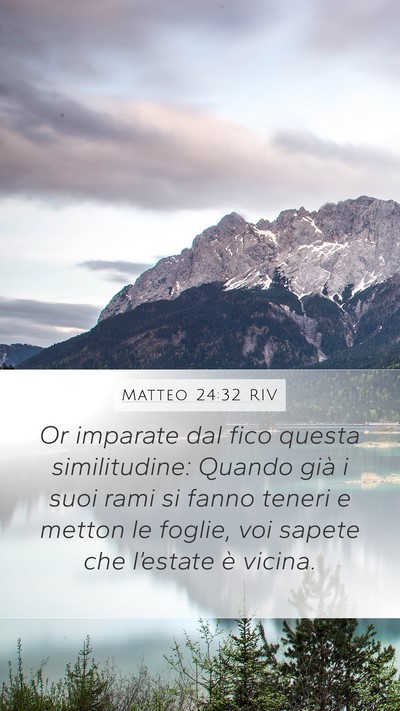 Matteo 24:32 RIV Bible Verse Image