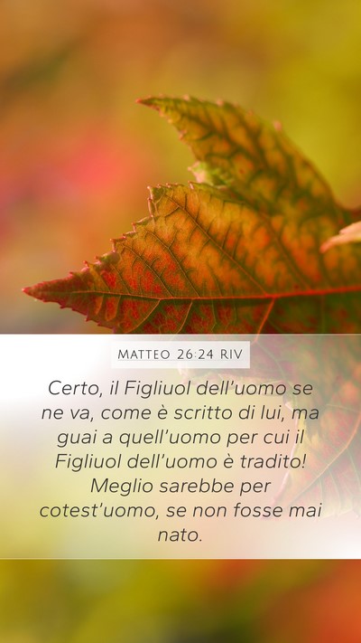 Matteo 26:24 RIV Bible Verse Image