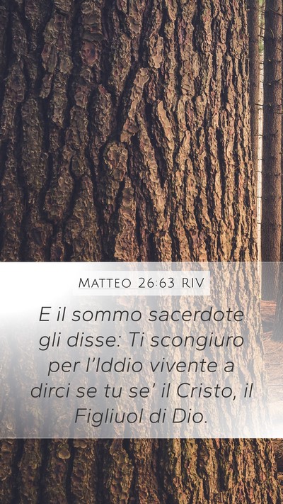 Matteo 26:63 RIV Bible Verse Image