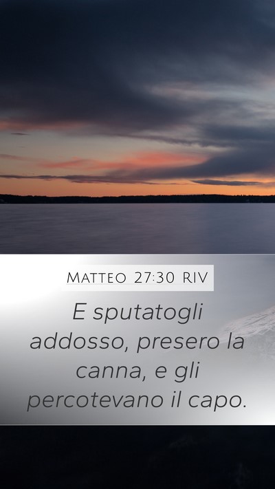 Matteo 27:30 RIV Mobile Phone Wallpaper - E sputatogli addosso, presero la canna, e gli - Mobile Bible Verse Wallpaper