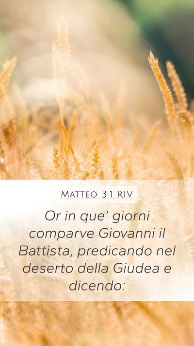 Matteo 3:1 RIV Bible Verse Image